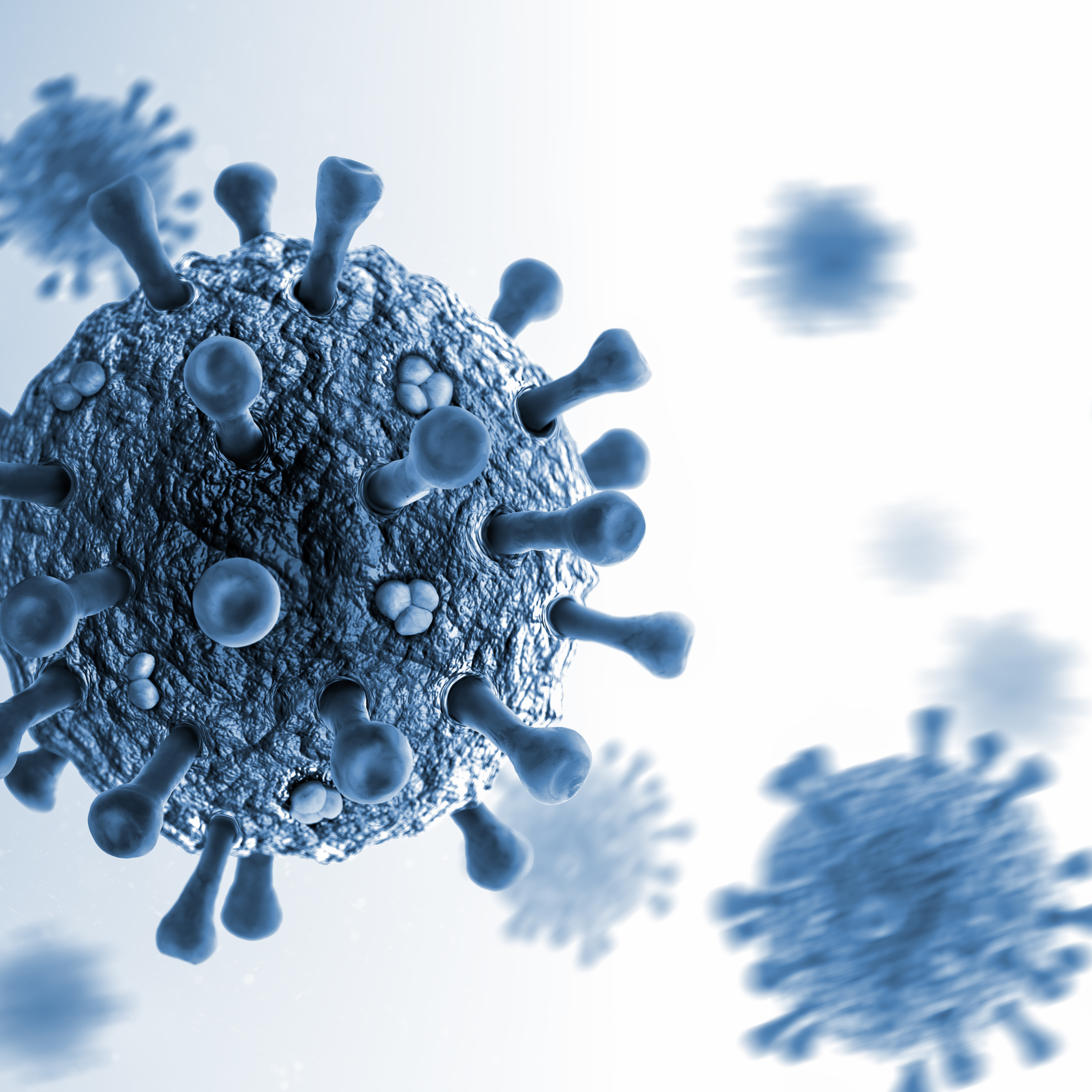 close up of common viruses that can effect humans 