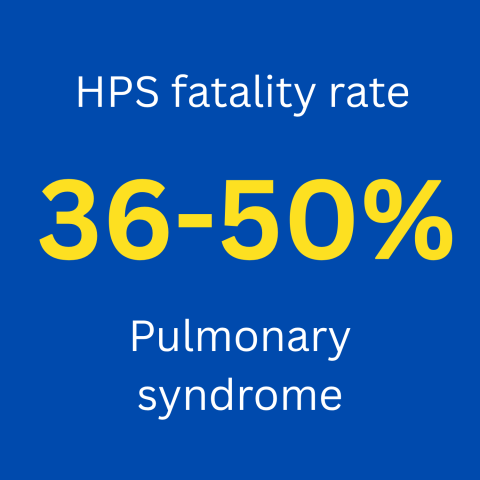 HPS fatality rate is between 36-50% 
