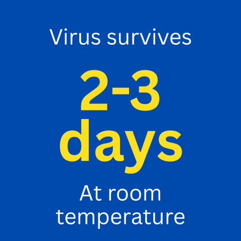 virus survives 2-3 days at room temperature