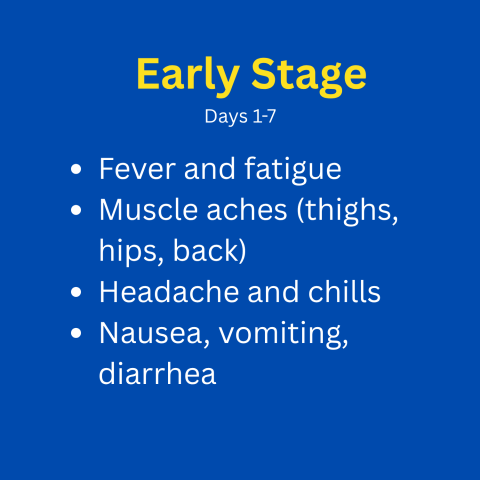 early stage symptoms of hantavirus