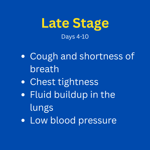 late stage symptoms of hantavirus