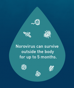 Norovirus can survive outside the body for up to 5 months.