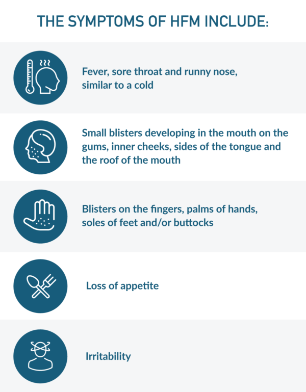 infographic about the symptoms of hand foot and mouth disease