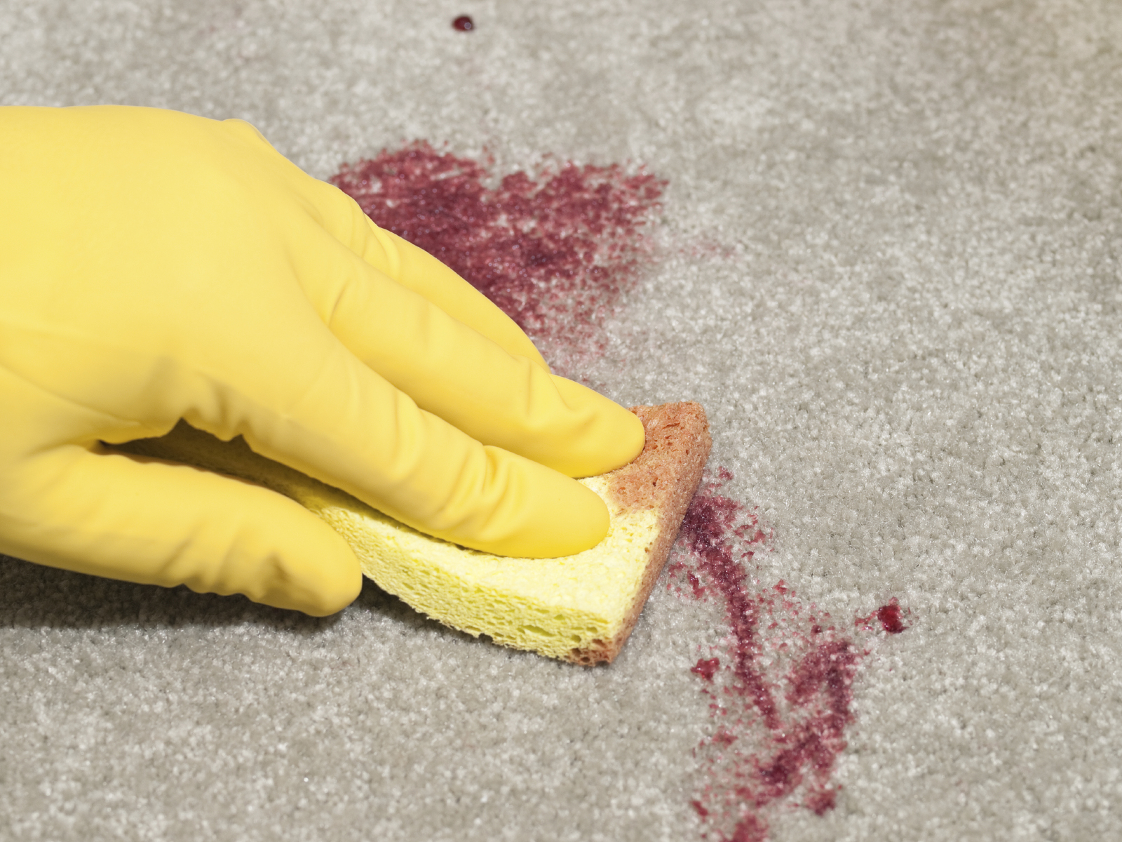 Blood spill biohazard on carpet being cleaned.