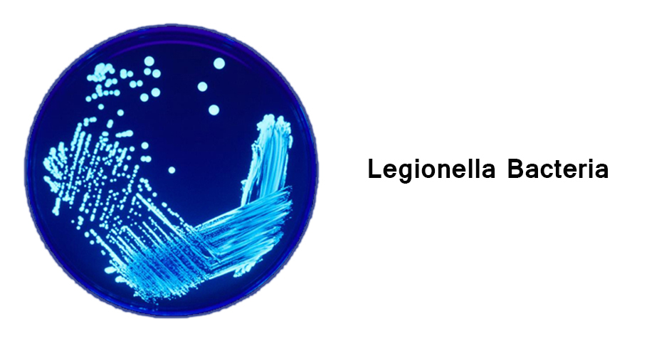 Legionella bacteria and biohazard cleanup.
