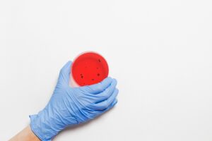gloved hand holding a petri dish