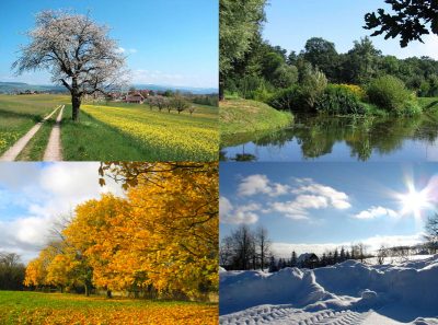 Showing four season: spring, summer, sale and winter.